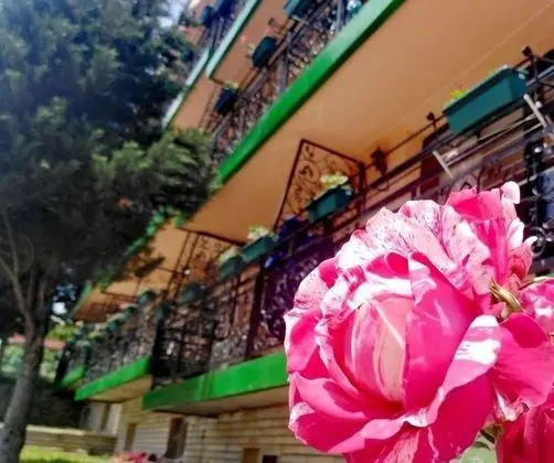 Hotel Vitalis - Dış Mekan
