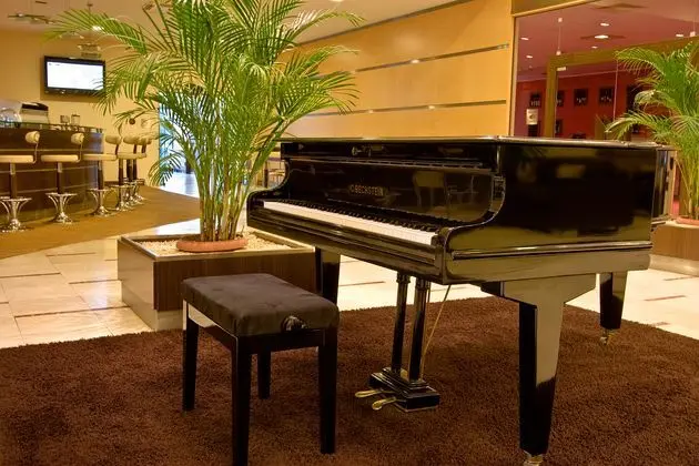 Vitosha Park Hotel - Lobi