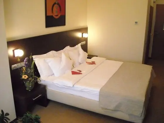 Viva Club Hotel Galati - Oda