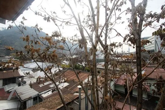 Viva Hostel