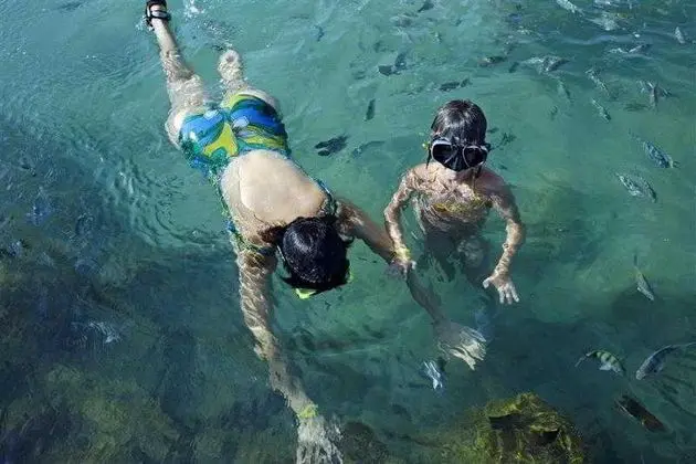 Viva Porto De Galinhas - Plaj