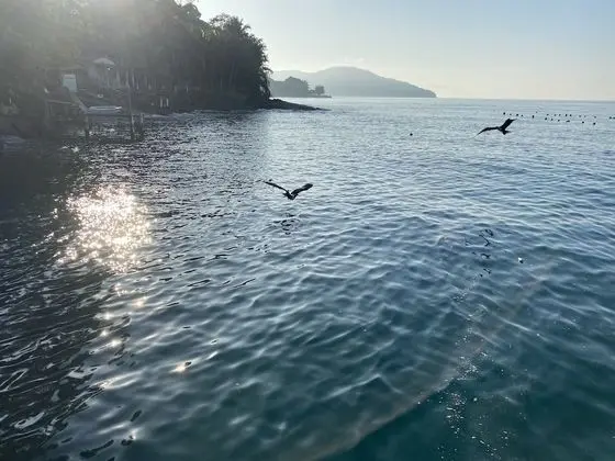 VivaLaVida Serra e Mar - Plaj