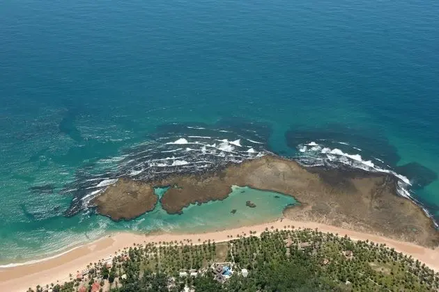 Vivant Eco Beach Resort - Plaj