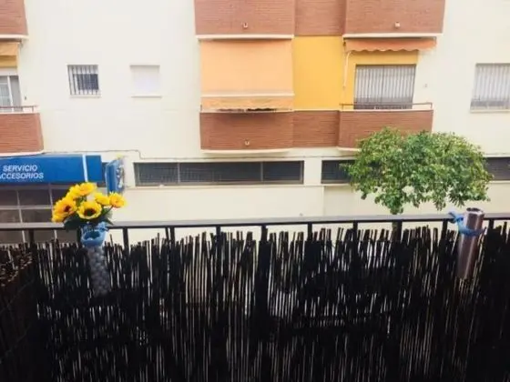 Viviendas Villalobos - Oda Manzaraları