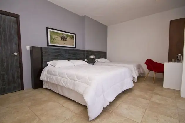 Hotel Volcano - Oda