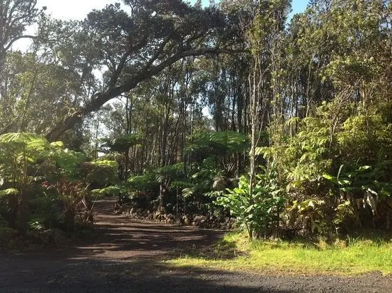 Volcano Rainforest Lodge - Dış Mekan