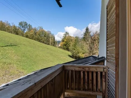 Voluminous Apartment near Ski Slopes in Maria Alm - Oda Düzeni