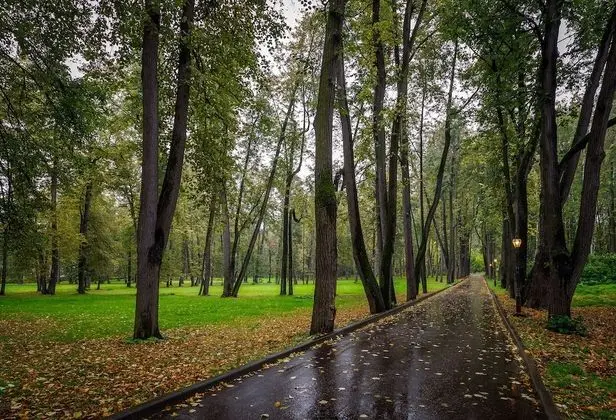 Volynskoye Congress Park - Dış Mekan
