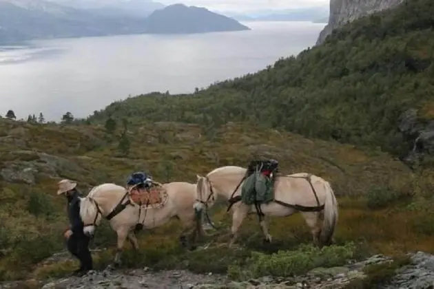 Voss fjellstove Rongastovo - Genel