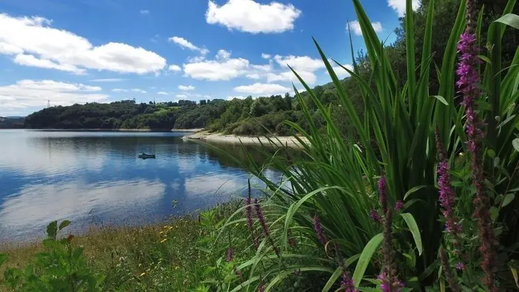 VVF Villages Les Lacs du Cantal, Champs-sur-Tarentaine - Genel