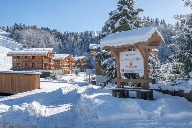 VVF La belle aux bois à Megève