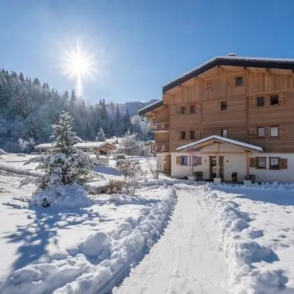 VVF La belle aux bois à Megève - Dış Mekan