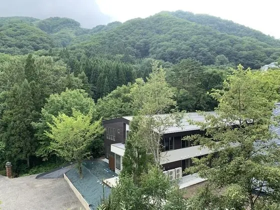 Wadano Forest Hotel And Apartments