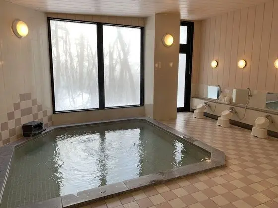 Wadano Forest Hotel And Apartments - Havuz