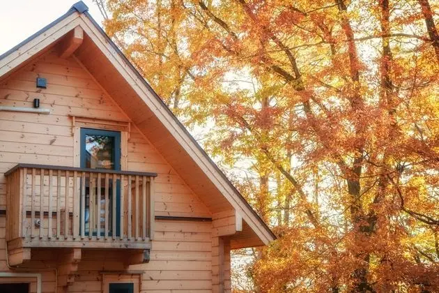 Wadano Woods Chalet