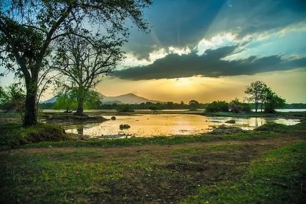 Wadula Safari Yala