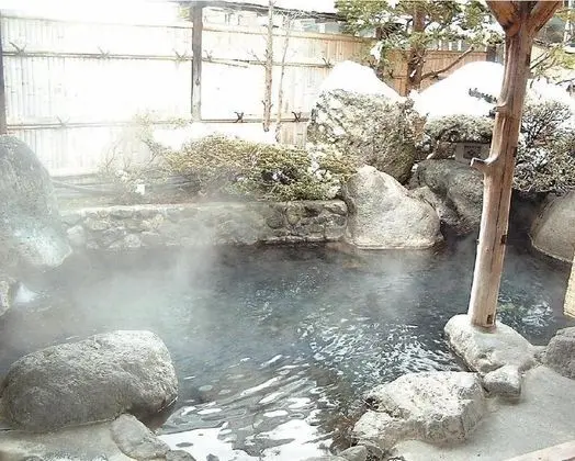 Wafu Ryokan Gizan - Genel