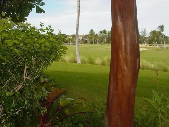 Waikoloa Beach Villas M2