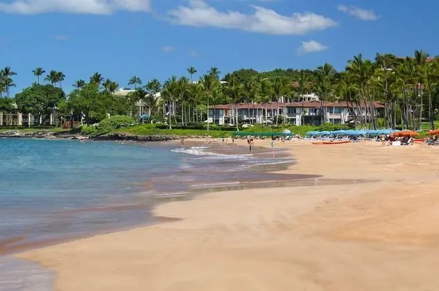 Wailea Beach Villas, a Destination by Hyatt Residence - Plaj