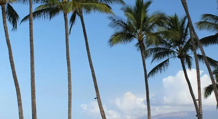 Wailea Ekahi Village, A Destination Residence