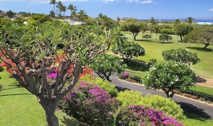 Wailea Ekolu Village, a Destination by Hyatt Residence - Dış Mekan