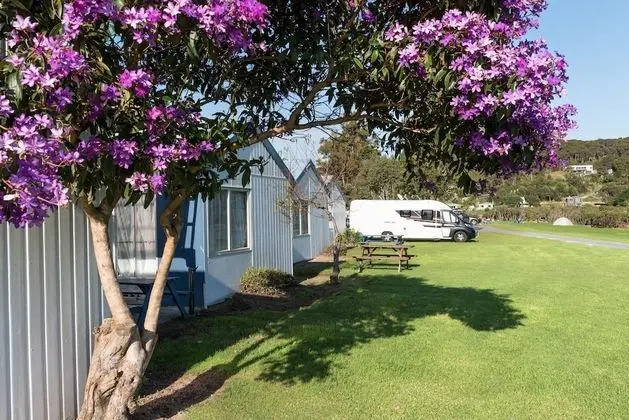 Waitangi Holiday Park - Dış Mekan