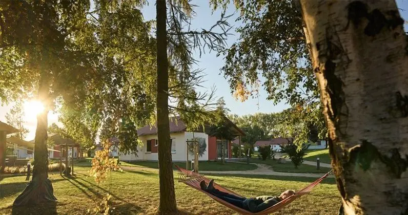 WaldResort - Am Nationalpark Hainich - Dış Mekan