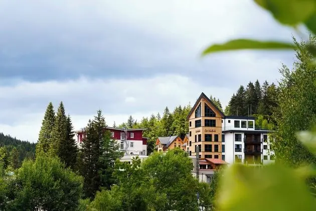Waldhotel am Notschreipass - Dış Mekan