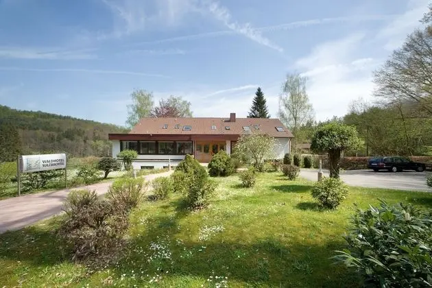 Waldhotel Sulzbachtal - 1