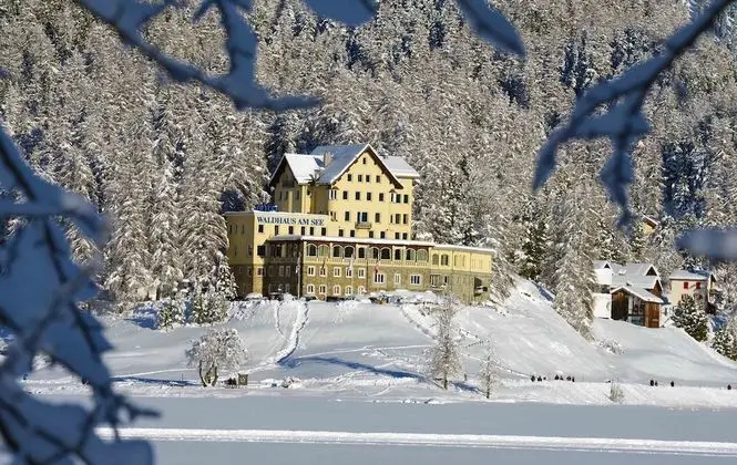 Hotel Waldhaus am See