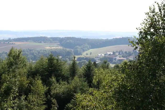 Waldpension Jägerstüberl - Oda Manzaraları
