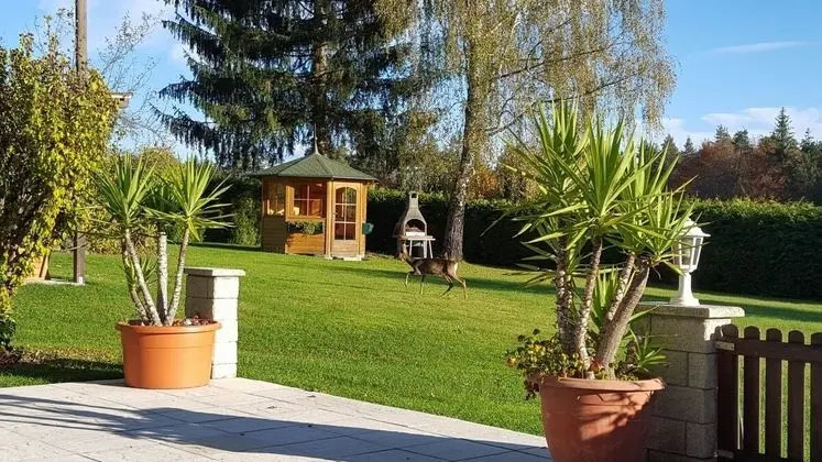 Waldpension Schiefling am See - Dış Mekan