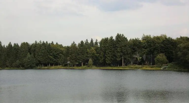Waldsee Feriendienst 'Ferienpark am Waldsee'