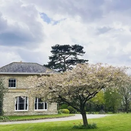 Walltree House - Dış Mekan