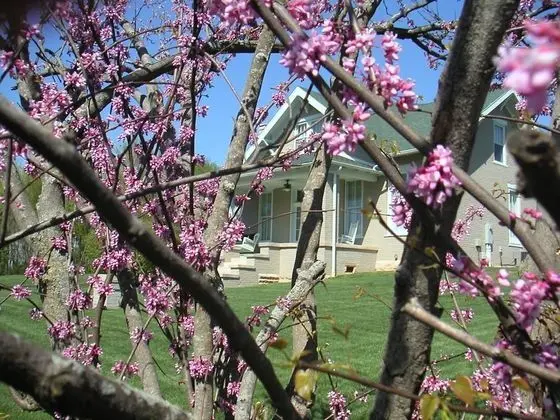 Wampler House - Dış Mekan