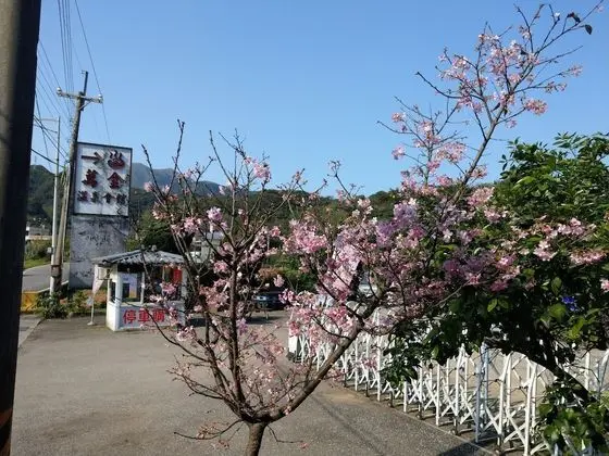 Wan Jin Hot Spring - Dış Mekan