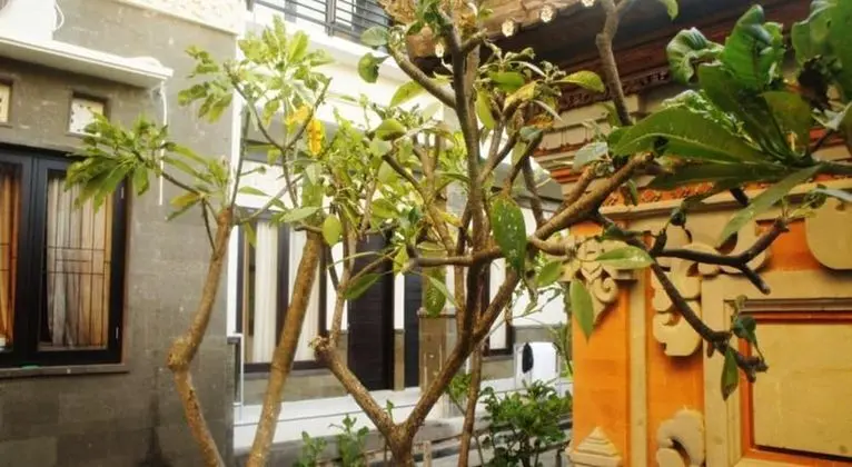 Wana Kubu Homestay