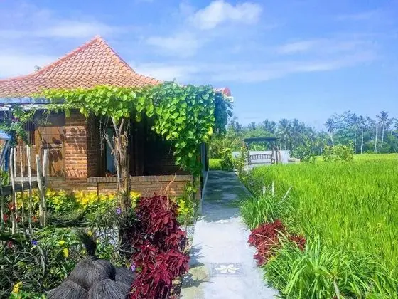 Wana Stay Ubud