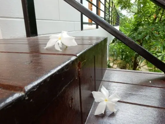 Wandee Bed and Breakfast - İç Mekan