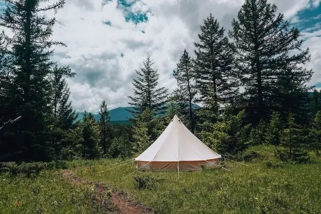 Wander Camp Glacier - Oda Manzaraları