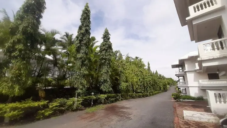 Wanderlust Resort - 1