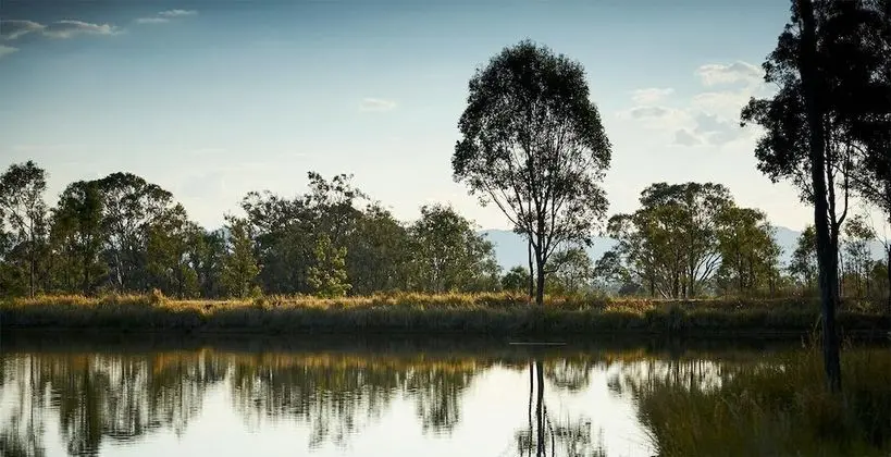 Wandin Valley Estate - Dış Mekan