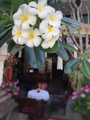Wannamas Chiangmai Boutique House - Dış Mekan