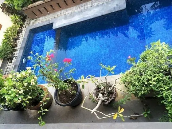 Waringin Home Stay - Havuz