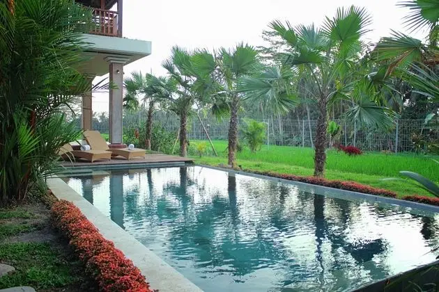 Warisan Ubud Villa - Havuz