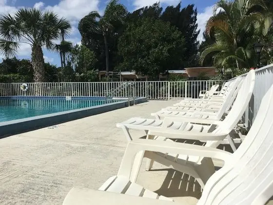 Warm Mineral Springs Motel - Havuz