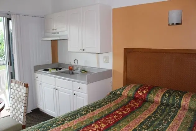 Warm Mineral Springs Motel - Oda
