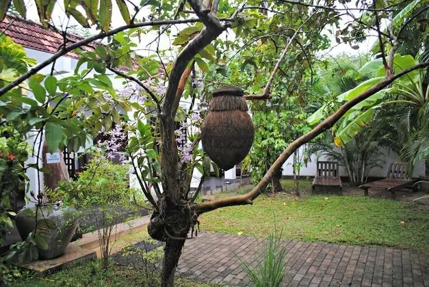 Wasantha Garden Hotel - Dış Mekan