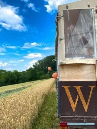 Wasem Weinhotel - Genel