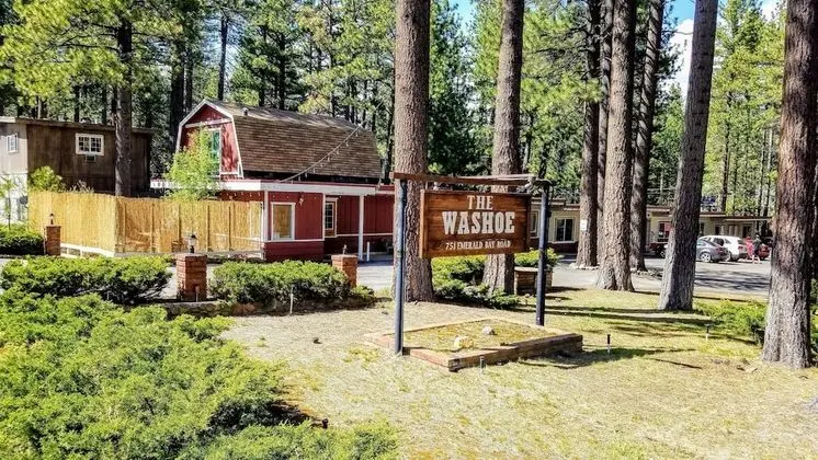 The Washoe